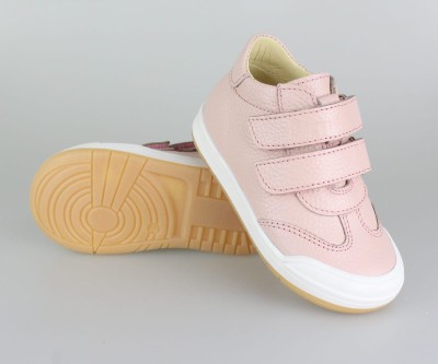 PÓŁBUT RÓŻ  20-30 